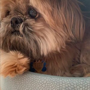 Meet your Posher, Jillian